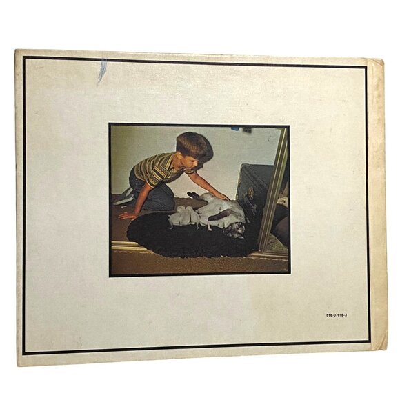 How I Feel Hardcover June Behrens Vintage 70s Childrens Picture Book Emotions - Picture 2 of 9